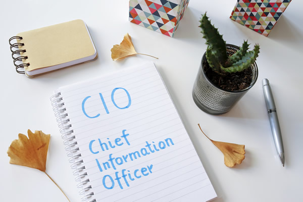 Culver-City CIO Advisory & Consulting services